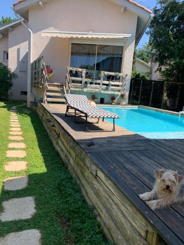 Le nid kalain gîte à louer Bourg-lès-Valence