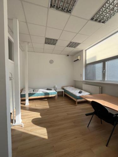 Spacious bungalow with parking, Bratislava (foto 4)