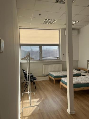 Spacious bungalow with parking, Bratislava (foto 5)