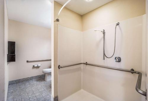 Quality Inn & Suites - image 2