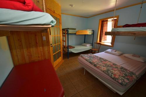 Bunk Bed in Mixed Dormitory Room