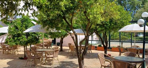 Hotel Club d'Azeitao - image 13
