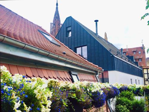Le Carré d Or Appartement Terrasse vue Cathédrale, Straßburg (Foto 6)