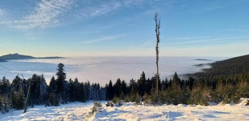 Näkymä, Apartmány Fischer (Apartmany Fischer) in Železná Ruda