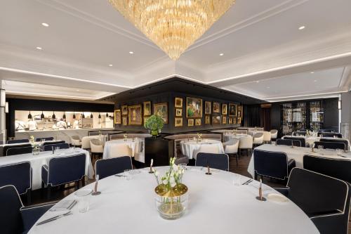 The Ring - Vienna's Casual Luxury Hotel - image 5