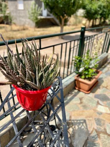 Kert, Kolovos House in Varvitsa Lakonias