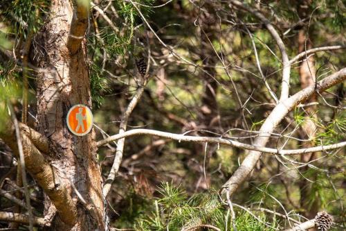 The Cottage at Perkins Hollow The Cottage at Perkins Hollow