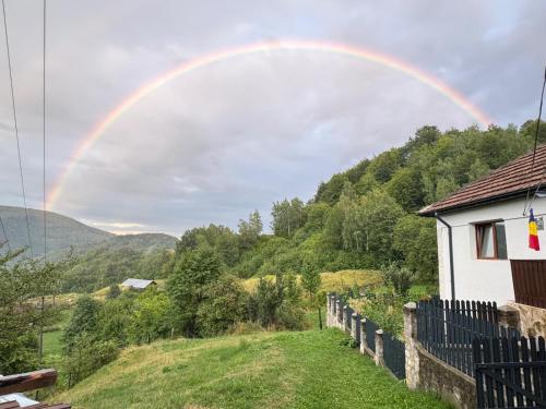 Casuta de sub munte in Pestrițu