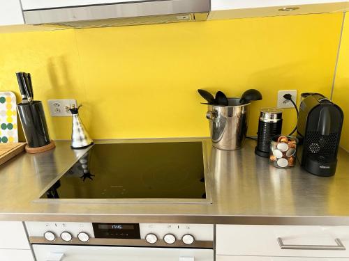 Bijoux Wohnung auf dem Basler Hügel, Basilea (foto 3)