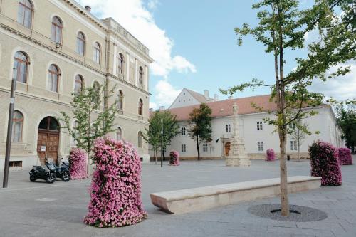 Contessa Central Apartment - image 13