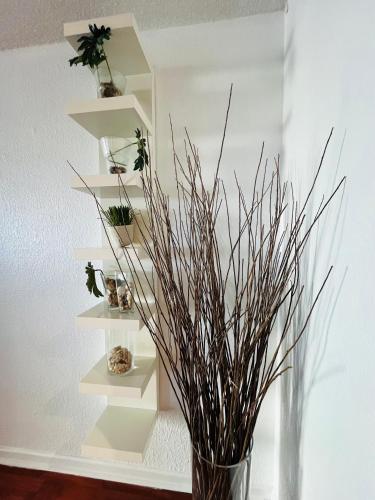 Hollywood 2 Bedroom with Ocean View 004-21mar detail