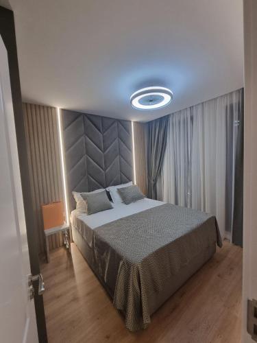 One-Bedroom Apartment image 9