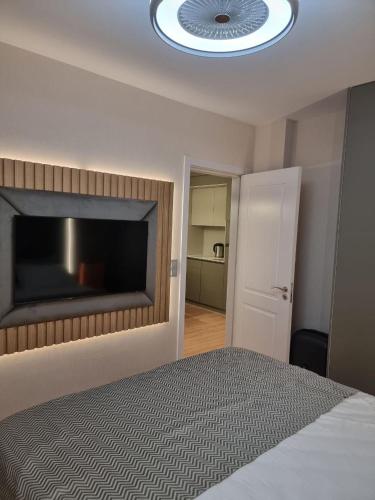 One-Bedroom Apartment image 7