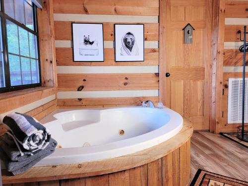 Romantic, Private Cabin in Smokies Hot Tub Firepit, Sevierville (fotografie 8)