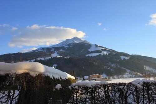 Appartement Fischer