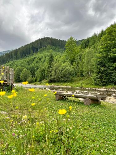 Будинок Художника, Synewyrska Poljana (Foto 6)