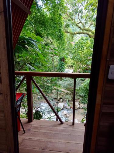Apkārtne, Hostal Las Mariposas Minca in Minca