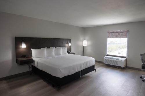 Holiday Inn Express Miami Springs an IHG Hotel - image 13