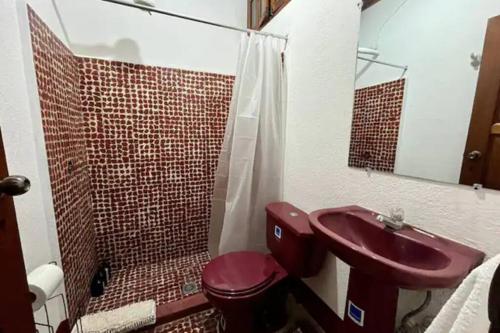 T2-House 10 guests 3 blocks away from central park - image 4