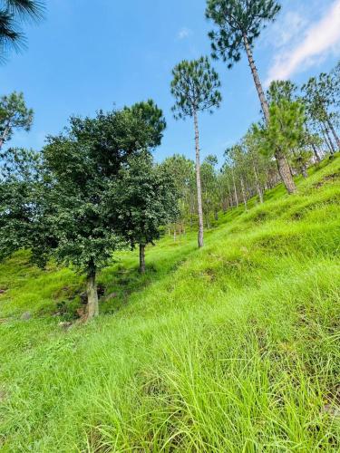 Hidden Resort Abbottabad - image 13