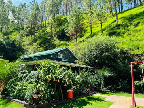 Hidden Resort Abbottabad - image 6