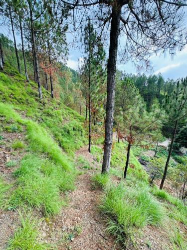 Hidden Resort Abbottabad - main image