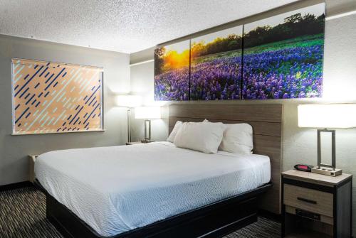 Days Inn by Wyndham N.W. Medical Center in San Antonio, USA