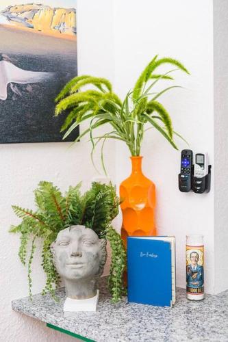Hello Dali A fun and funky artisitc apartment in St Petersburg, USA