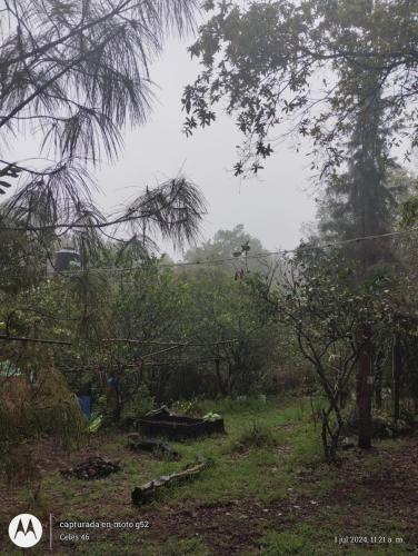 Eco Rooms Pablo's in San Pedro