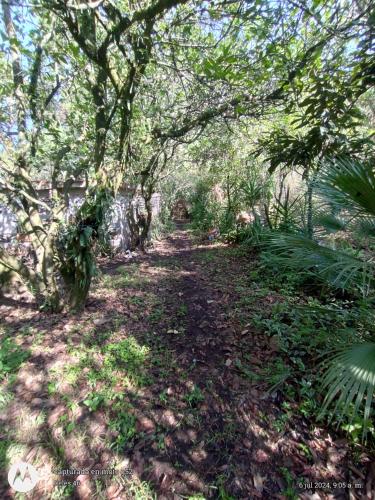 Kilátás, Eco Rooms Pablo's in San Pedro