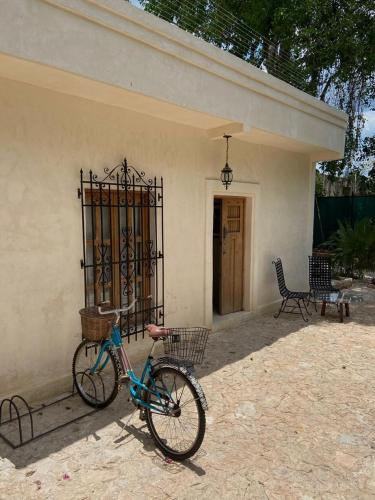 Harmony in Valladolid, Mexico