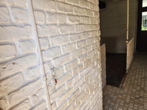 Sud mayotte TSIMKOURA in 시롱기