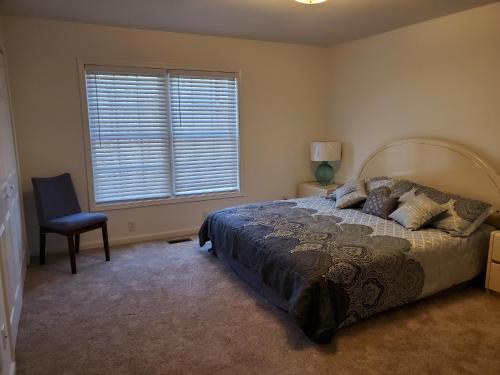 Cozy Bear in Salem, USA