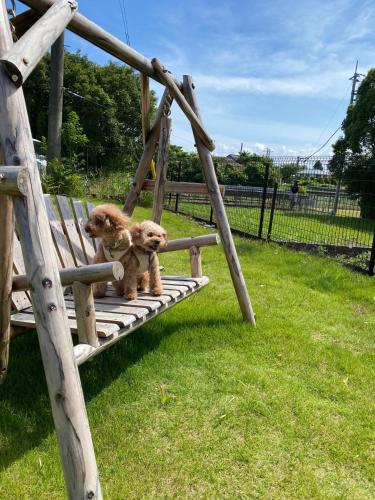ペット同伴プランあり, 一棟貸し, 屋根付bbq, 薪サウナ, 広いお庭ドッグラン, 海まで車10分