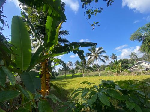 Pondok rinjani bungalow tetebatu in ซิกูร์