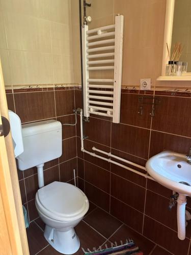 Guest house Pikec - image 11