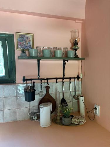 Guest house Pikec - image 13