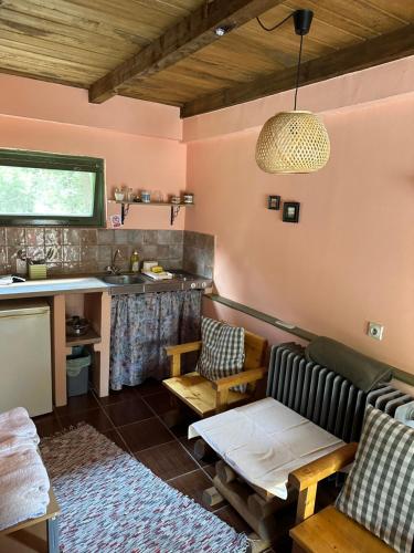 Guest house Pikec - image 7