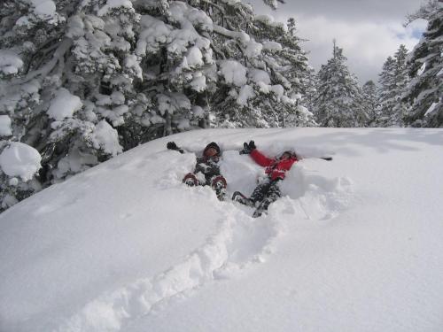 Accommodation in Hokkaido