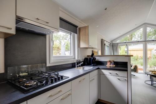 Modern ingericht chalet op groen park op de Veluwe Modern ingericht chalet op groen park op de Veluwe