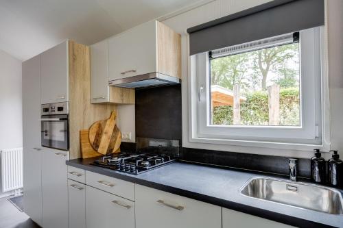 Modern ingericht chalet op groen park op de Veluwe Modern ingericht chalet op groen park op de Veluwe