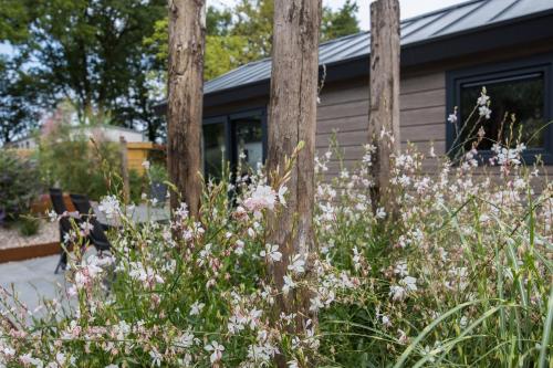 Modern ingericht chalet op groen park op de Veluwe Modern ingericht chalet op groen park op de Veluwe