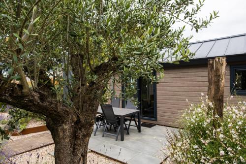 Modern ingericht chalet op groen park op de Veluwe Modern ingericht chalet op groen park op de Veluwe