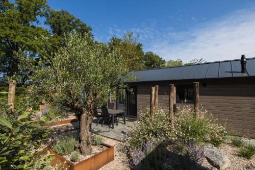 Modern ingericht chalet op groen park op de Veluwe Modern ingericht chalet op groen park op de Veluwe