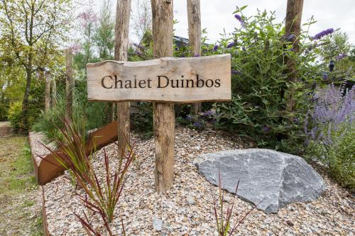 Modern ingericht chalet op groen park op de Veluwe Modern ingericht chalet op groen park op de Veluwe