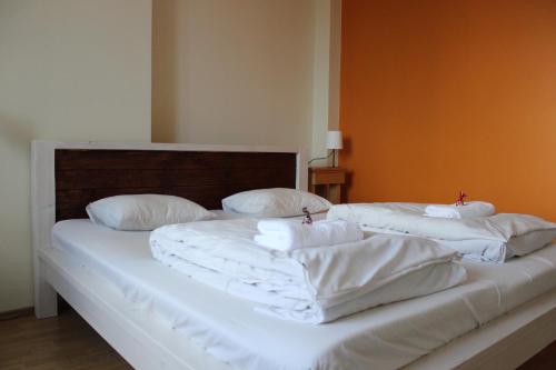Viru Backpackers Hostel - image 4