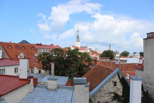 Viru Backpackers Hostel, Таллин (фото 10)
