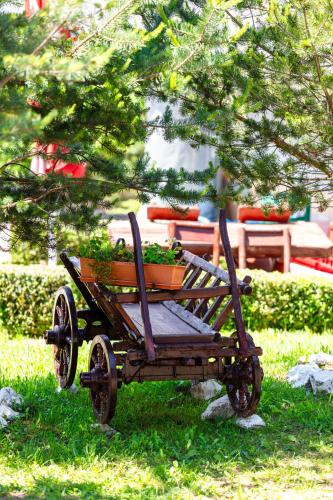 Resort EuroPark Fundata - image 10