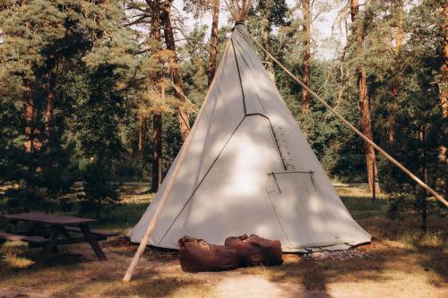 BB camping, Liepāja (fotografie 2)