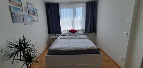 Appartment Jedi, Вена (фото 7)